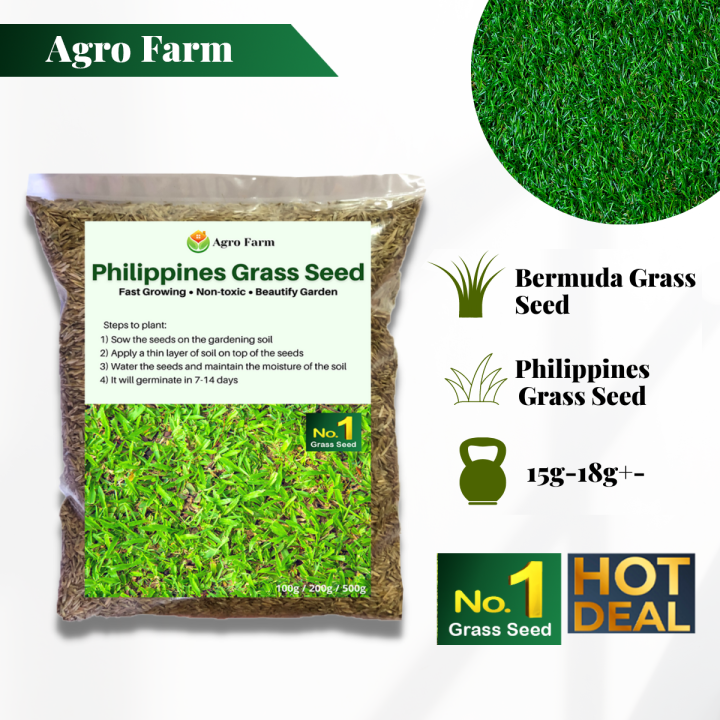 Agro Farm Premium Bermuda Grass Seed / Philippines Grass Seed / Cow