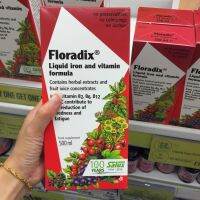 สปอตสหราชอาณาจักรซื้อเยอรมันอินทรีย์เหล็กหยวน/แหล่งเหล็กเหลวหญิงตั้งครรภ์เด็กเหล็กสังกะสีเหลว500มล. สารละลายสารอาหาร