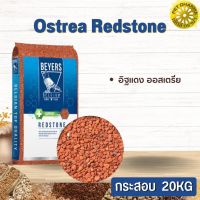 Ostrea Redstone 20kg (อิฐแดง) สินค้าคุณภาพในราคาที่ยุติธรรม