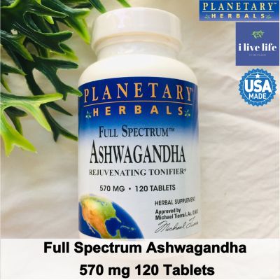 โสมอินเดีย Full Spectrum Ashwagandha 570 mg 120 Tablets - Planetary Herbals
