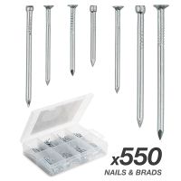 Zoowoy 550 Buah Set Aneka Sekrup Stir Diri Kepala Datar Silang Aneka Perlengkapan Sekrup Kuku Benang Kayu DIY Countersunk Kepala Scres Mal