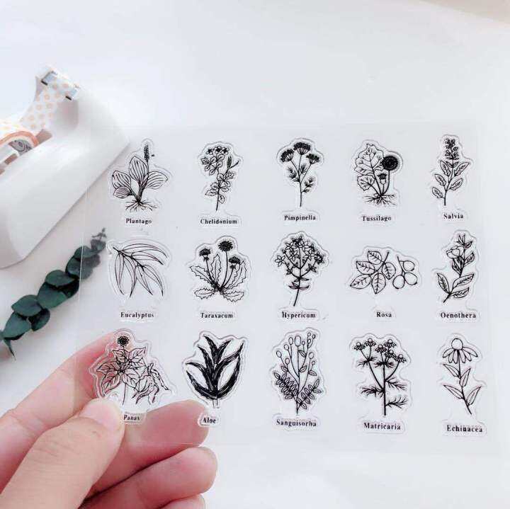 pantago-plant-aloe-transparent-clear-stamps-scrapbook-card-album-paper-stamps-for-diy-handmade-silicone-rubber-roller-stamps-scrapbooking