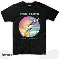 เสื้อยืดโอเวอร์ไซส์เสื้อยืดพิมพ์ลาย Music Distro PINK FLOYD - You Were Here 30S สําหรับผู้ชายและผู้หญิงS-3XL  I7OG