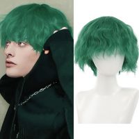 【CW】 AILIADE Synthetic Short Curly Wigs for Men Boys Dark Hair Machine Made Resistant Anime Wig