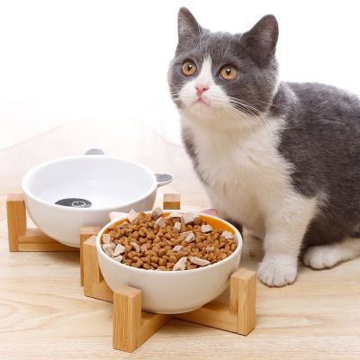 ชามให้อาหาร ชามให้อาหารสัตว์เลี้ยง  ถ้วยทรงหน้าแมว   ชามให้อาหารแมว  พร้อมฐานขาตั้ง ชามให้อาหารและจานข้าวแมว