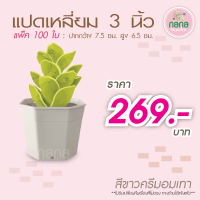 100 ใบ กระถางทรงแปดเหลี่ยม ขนาด 3 นิ้ว กระถางพลาสติก กระถางแคคตัส กระถางต้นไม้