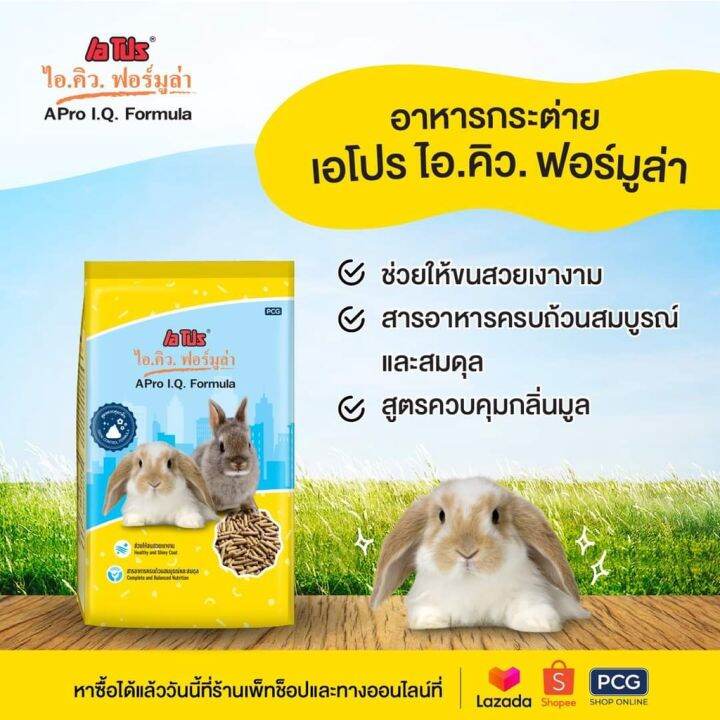 42pets-apro-เอโปร-ไอ-คิว-ฟอร์มูล่า-อาหารกระต่าย-1กก-กระต่าย