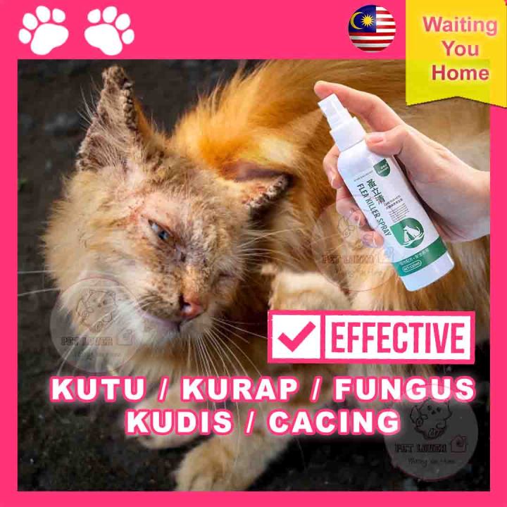 PETLOVER Cat Anti Fleas Treatment Killer Tick Spray 猫咪驱虫药剂 Ubat Kurap ...