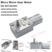 ✈❀◈ Mini Reducer Motor DC 6V 12V 24V 2RPM 10RPM 40RPM 66RPM 160RPM Slow Speed Large Torque Micro 370 Electric Turbo Worm Gear Motor