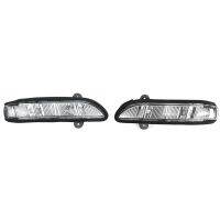 2x Left/Right Door Mirror Turn Signal Light for Mercedes W211 W221 W219 2007-2011 E320 E350 E550 E63 2198200521