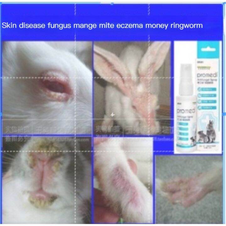 Doctor rabbit fungus Xiao Bowei di spray rabbit ringworm skin disease