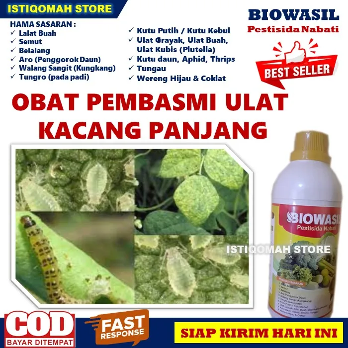 Obat Semprot Ulat Kacang Panjang BIOWASIL 500ML Pestisida Nabati Obat