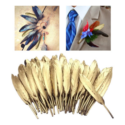shamjina 50Pcs Natural Feathers DIY Decoration for Bouquet Dress up Room Decoration