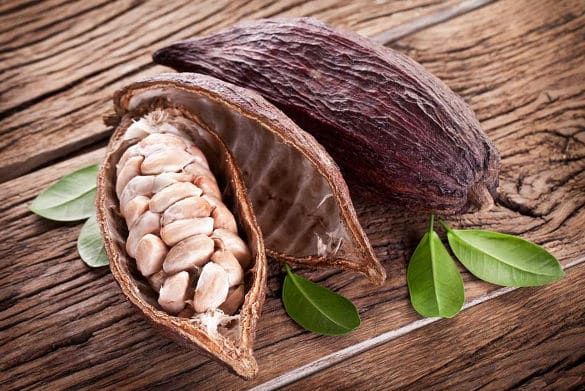 ผงโกโก้-ออร์แกนิก-superfoods-organic-cacao-powder-240-g-california-gold-nutrition