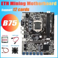 B75 ETH Miner Motherboard 12 PCIE to USB3.0+G1610 CPU+Cooling Fan+Switch Cable+SATA Cable MSATA DDR3 LGA1155 Motherboard