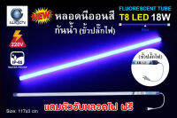 หลอดนีออน LED T8 สีน้ำเงิน เสียบปลั๊กได้เลย กันแดด กันฝน ไฟงานวัด ไฟพัด