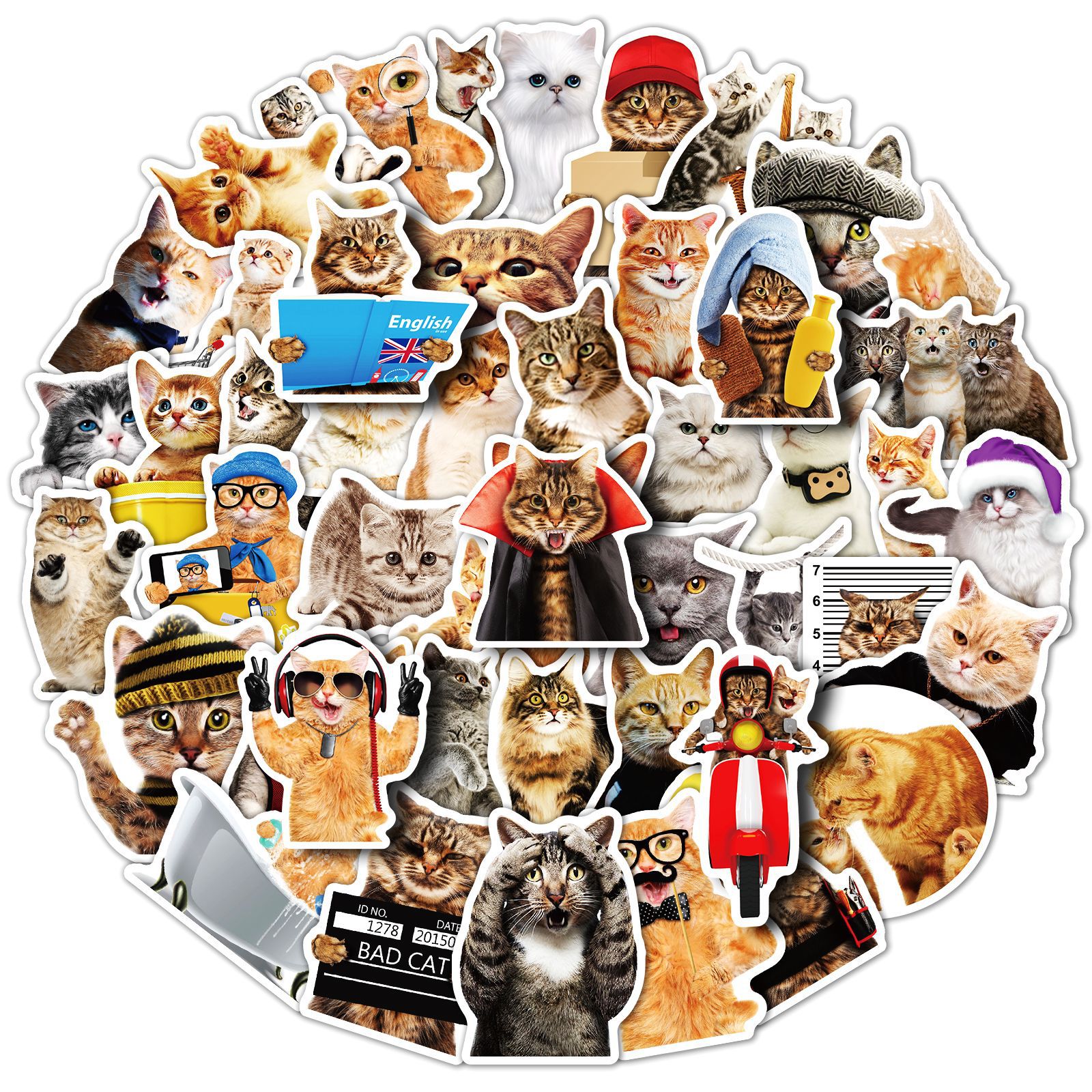Lovland สติ๊กเกอร์กราฟฟิตีสัตว์แมว1ชิ้นของเล่นตลกสำหรับเด็กการ์ตูนสมุดภาพแลปท็อปโทรศัพท์กระเป๋ารถ