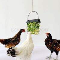 Chicken Feeder Basket Chicks Foraging Toy Metal Hanging Birdfeeders Bird Feeding Device for Small Parakeets Cockatiels Drop Ship