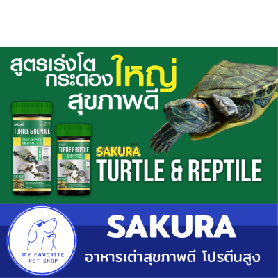 อาหารเต่า Sakura Turtle &amp; Reptile สูตรโปรตีนสูง เร่งโต กระดองใหญ่ สุขภาพดี โปรตีนสูง ชนิดเม็ดลอยน้ำ ไม่ทำให้น้ำขุ่นเสีย