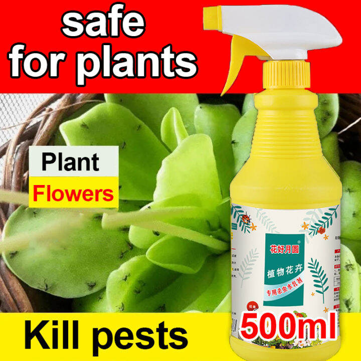 Plant organic insecticide Plant Pest Control 500ml Insecticide for