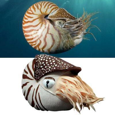 ของเล่นตุ๊กตา18X20cm Nautilus ของเล่นสำหรับเด็ก,ของเล่นสำหรับเด็กเล็กของเล่นสัตว์นุ่มๆเป็นของขวัญสำหรับเด็ก