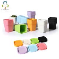 【YF】❆☍✐  10pcs Plastic Pot Office Colorful With Pots Trays Artificial WYQ