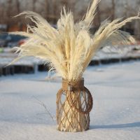 10ชิ้นกกธรรมชาติอบแห้งหญ้า Pampas ดอกไม้งานแต่งงานแห้ง Phragmites ขนาดเล็กบูรัสช่อโต๊ะตกแต่งบ้าน