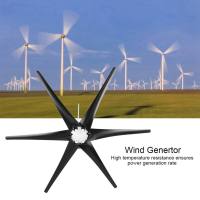 Professional Wind Turbines Small Windmill Generator 6 ใบมีด เครื่องจักรอุตสาหกรรม 800W