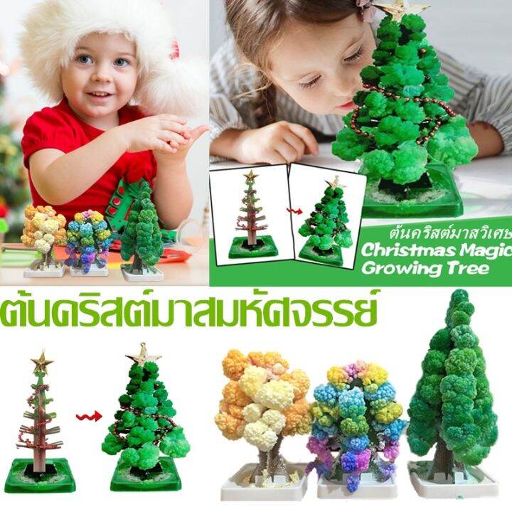 smilewil-ต้นคริสต์มาส-ต้นไม้วิทยาศาสตร์-ของเล่น-magic-growing-christmas-tree-ของขวัญคริสต์มาส