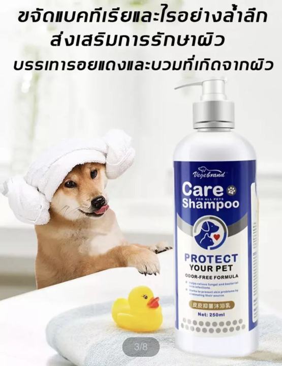 vegebrand-น้ำยาอาบน้ำหมาแชมพูให้สัตว์เลี้ยงรักการอาบน้ำ-สำหรับผิวหนังแพ้ง่าย-แก้คัน-เชื้อยีสต์-เชื้อรา-แชมพูสุนัข-น้ำยาอาบน้ำเชื้อราแมว-แชมพูอาบน้ำแมว-แชมพูเชื้อราสำหรับแม-แชมพูอาบน้ำหมา-แชมพูแมว-แชมพ