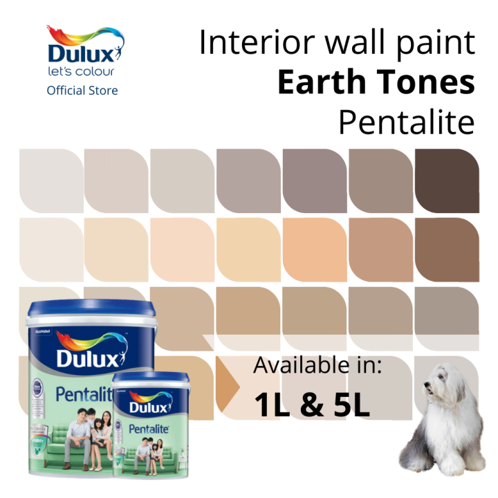 Dulux Interior Wall Paint Shades of Earth Tones (AntiFungus / High