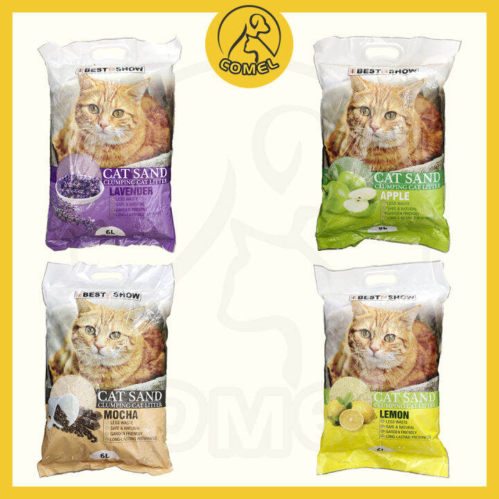 Best In Show Cat Sand Clumping Litter Cat Litter Pasir Kucing 6L Lazada