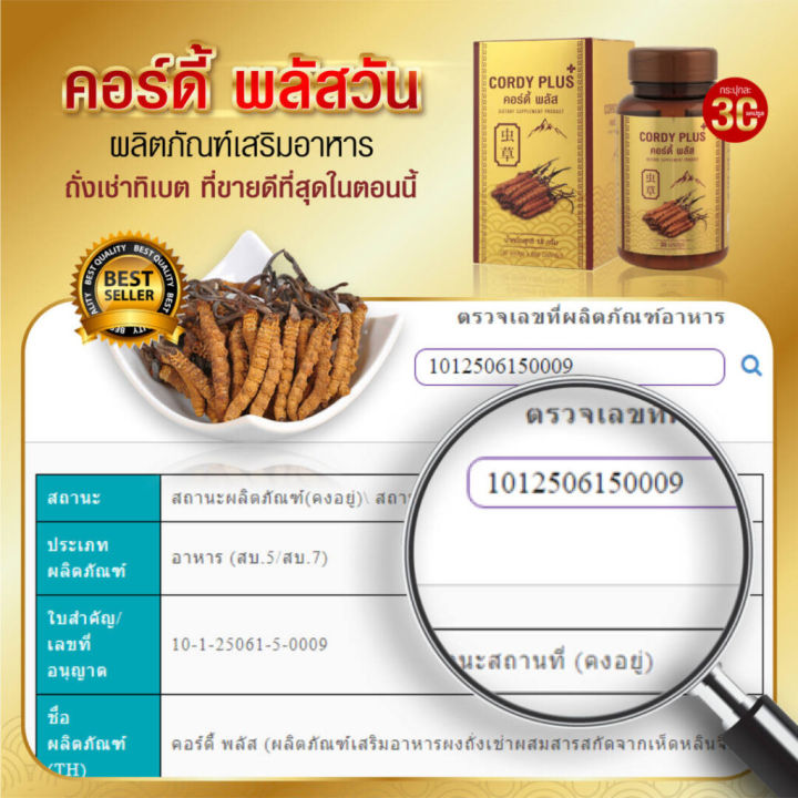 cordy-plus1-คอร์ดี้-พลัส-วัน-3-กระปุก-แถมฟรี-30-แคปซูล-ถั่งเช่า-และสารสกัดเห็ดหลินจือแดง