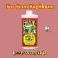 Fox Farm Big Bloom ขนาด1L ปุ๋ยออแกนิค ปุ๋ยหลัก