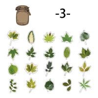 Mr. Paper Style 4 Vintage Leaf PET Sticker Creative Plant Bottle Maple Leaf Hand Account Material Decorative Stationery Sticker