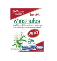 ไพรเฮิร์บ ฟ้าทะลายโจรสกัด 10 แคปซูล 10 CAP มีสารแอนโดรกราโฟไลด์ 20 MG ต่อแคปซูล 20026