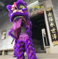 Details about   Halloween Child Kids Chinese Lion Dance Mascot Costume Suits Cosplay Party Dress 