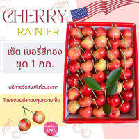 เชอรี่สีทอง อเมริกา?Cherry Rainer Jumbo