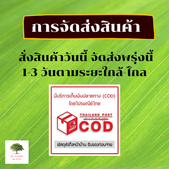 วัคซีนพืช-โรคพืช-สารป้องกันกำจัดโรคพืช-ยากำจัดโรคพืช-ยาเชื้อราในพืชยากันเชื้อรา-ไบโอสตาร์-สตาร์เทค