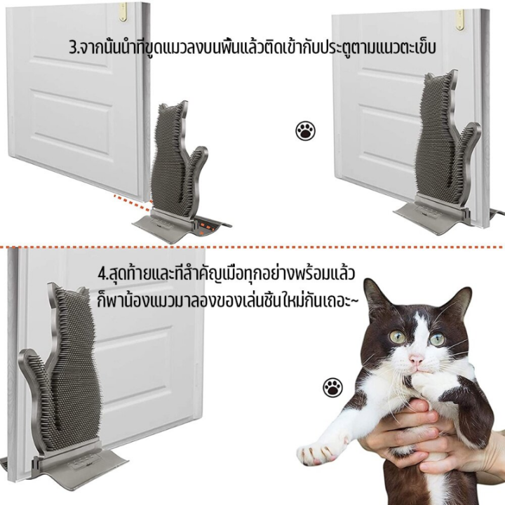 chool-codแปรงนวดขนแมว-แปรงนวดติดประตู-แปรงนวดหน้า-ใส่หญ้าชนิดหนึ่ง