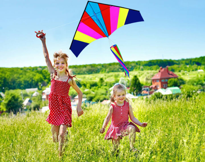 cw-best-large-delta-kite-with-tail-perfect-for-relaxing-of-fun-at-the-beach-give-it-a-try-good-flying-that-you-will-love-it