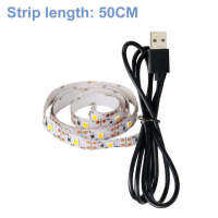 อะแดปเตอร์ Eu Us ปลั๊กแถบไฟ Led ไฟโคมไฟตกแต่ง Usb 5V ริบบิ้นยืดหยุ่น Fita แถบไฟ Led 0.5 2 3 M สำหรับห้องนอน