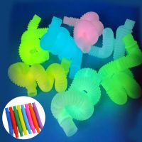 Luminous Anti-Stress Stretch Tubes Fluorescent Color Sensory Toy Children Autism Decompression Water Pipe Parent-child Game toys