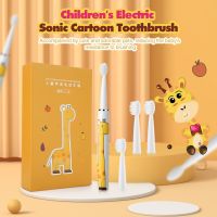 HOKDS Electric Toothbrush for Kid 3 Modes Sonic Vibrate Waterproof Cartoon Soft Bristle Tooth Brush Timer Brush Child Teeth Oral Care