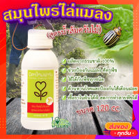 สมุนไพรไล่แมลง (สูตรน้ำส้มควันไม้) 120 ซีซี ? ผลิตจากธรรมชาติ 100% ป้องกันแมลง ศัตรูพืช ใช้ได้กับพืชทุกชนิด ป้องกันไส้เดือนฝอย?