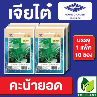 ผักซอง เจียไต๋ CT15 เมล็ดพันธุ์ พันธุ์ผัก คะน้ายอด บรรจุแพ็คล่ะ 10 ซอง ราคา 70 บาท