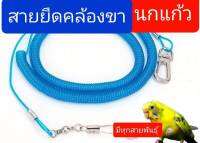 สายยืดคล้องขานกคละสี วัสดุพลาสติก TPU + ลวดเหล็ก ความยาวยืดได้สูงสุด 5เมตร สายจูงหนา ใช้สำหรับพานกออกไปเที่ยวนอกบ้าน