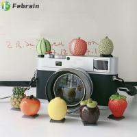 FEBRAIN ฝาครอบป้องกัน Aksesoris Sepatu กล้องเคสป้องกัน,พอร์ต DSLR ฝาครอบอินเตอร์เฟซกล้องอเนกประสงค์สำหรับ Canon/Nikon