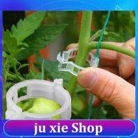 JuXie store 50pcs Gardening Plant Clip Anti-break Holder Tomato Tree Support Stand Branches Garden Strengthen Fixing Stalk Retaining