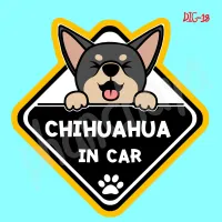 ( Promotion+++) คุ้มที่สุด สติ๊กเกอร์ติดรถยนต์ DIC18 สติ๊กเกอร์ ติดรถ Chihuahua Dog In Car สติ๊กเกอร์ติดรถ แต่งรถ car sticker ราคาดี สติ ก เกอร์ ติด รถ สติ๊กเกอร์ ออฟ โร ด สติ ก เกอร์ ข้าง รถ กระบะ สติ ก เกอร์ ข้าง รถ สวย ๆ